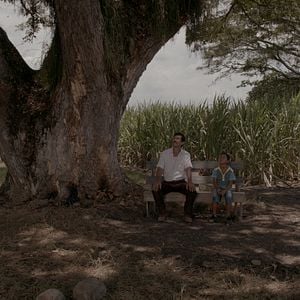 Foto A Terra e a Sombra