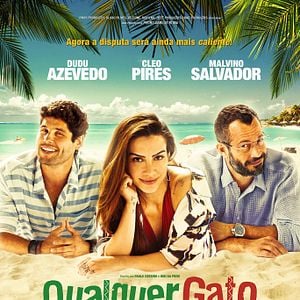 Foto Qualquer Gato Vira-Lata 2