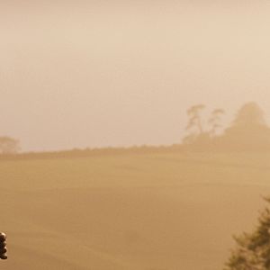 Foto Longe Deste Insensato Mundo