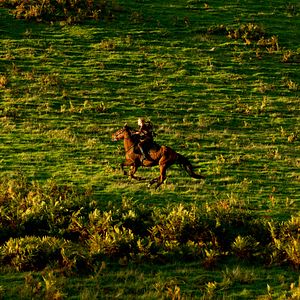 Foto Longe Deste Insensato Mundo