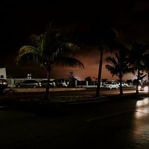 Foto A Vida Privada dos Hipopótamos