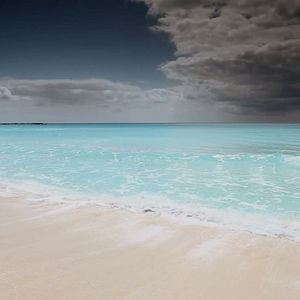 Foto A Vida Privada dos Hipopótamos