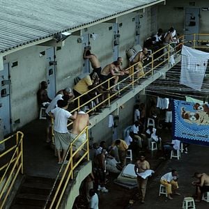 Foto A Vida Privada dos Hipopótamos