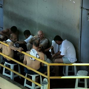 Foto A Vida Privada dos Hipopótamos