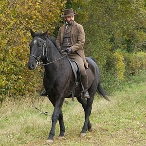 Foto Longe Deste Insensato Mundo