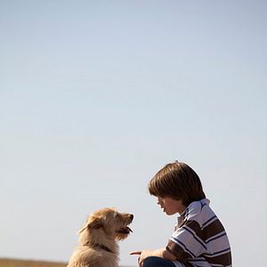 Foto Um Pestinha na Fazenda