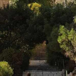 Foto Hayored Lema'ala