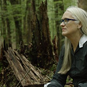 Foto La Légende de la Palme d’or