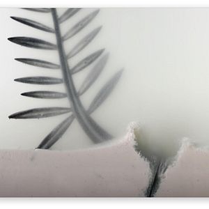 Foto La Légende de la Palme d’or