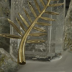 Foto La Légende de la Palme d’or