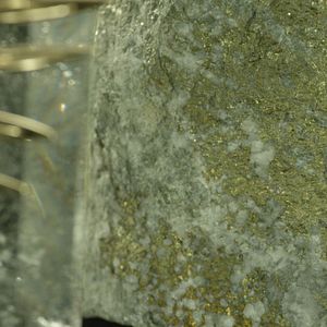 Foto La Légende de la Palme d’or