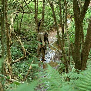 Foto A Terra Vermelha