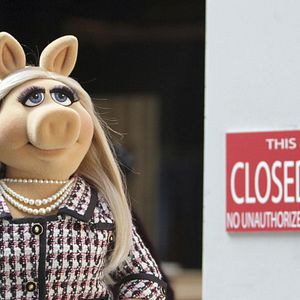 Foto Os Muppets