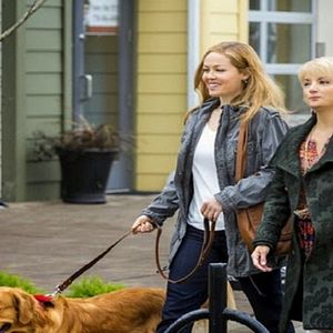 Foto Um Amor Verdadeiro