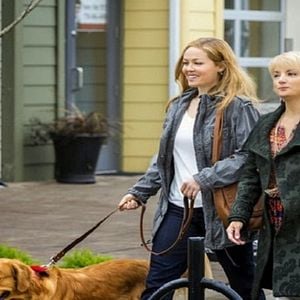 Foto Um Amor Verdadeiro