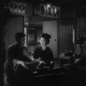 Foto Crisântemos Tardios