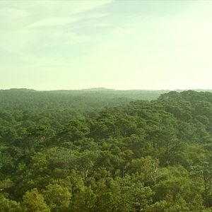 Foto Amor à Primeira Briga