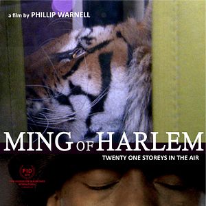 Foto Ming of Harlem: Twenty One Storeys in the Air