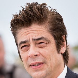 Foto Benicio Del Toro