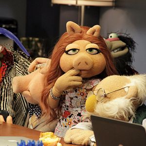 Foto Os Muppets