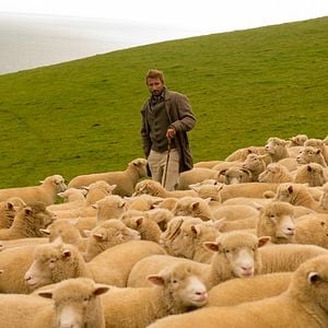 Foto Longe Deste Insensato Mundo