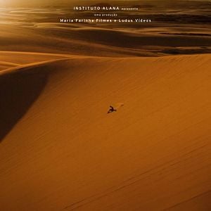 Foto Território do Brincar