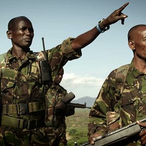 Foto O Jogo da Extinção