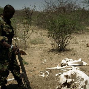 Foto O Jogo da Extinção