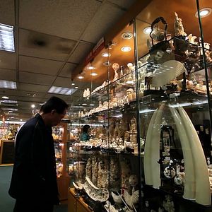 Foto O Jogo da Extinção