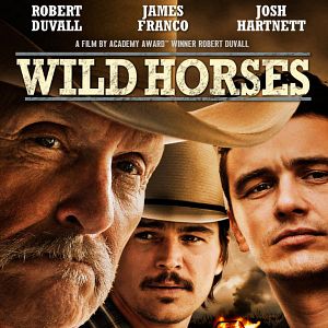 Foto Cavalos Selvagens