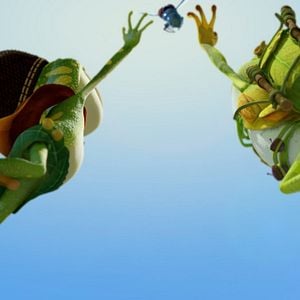 Foto O reino dos sapos