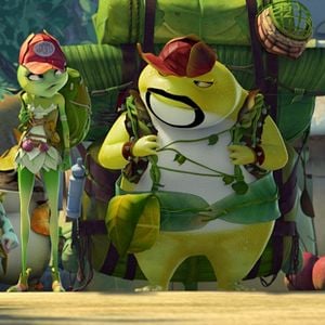 Foto O reino dos sapos