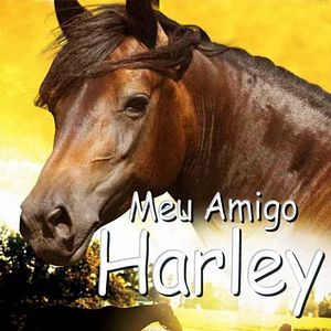 Foto Meu Amigo Harley