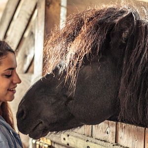 Foto Almila Bağrıaçık