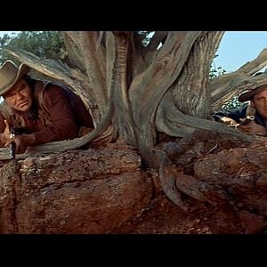 Foto A Última Carroça