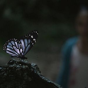 Foto Isa – Identidade Virtual