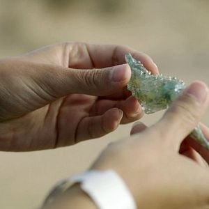 Foto Isa – Identidade Virtual