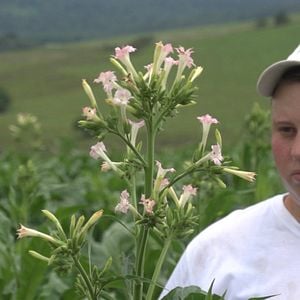 Foto A Grande Nuvem Cinza