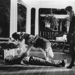 Foto Destino em Dose Dupla