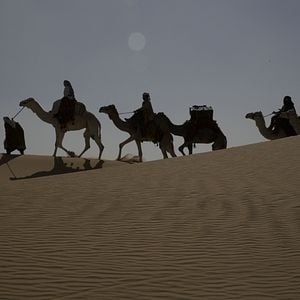 Foto Rainha do Deserto