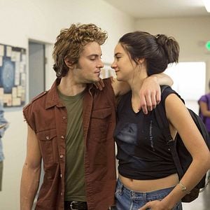 Foto Pássaro Branco na Nevasca