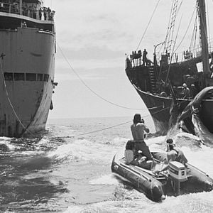 Foto Como Mudar o Mundo