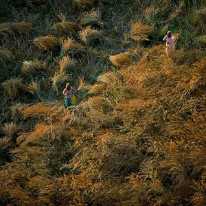 Foto Humano - Uma Viagem Pela Vida
