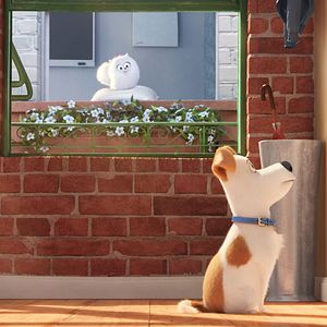 Foto Pets: A Vida Secreta dos Bichos