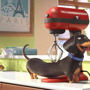 Foto Pets: A Vida Secreta dos Bichos