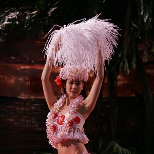 Foto Um Paraíso Havaiano