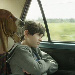 Foto Esperando Acordada