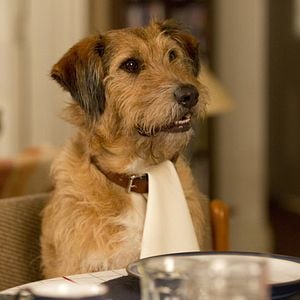 Foto Absolutamente Impossível