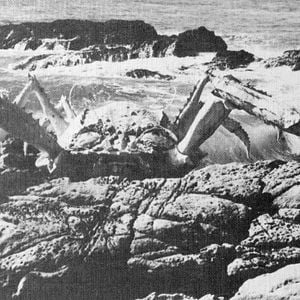 Foto Attack of the Crab Monsters