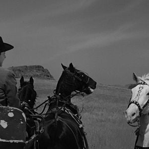 Foto Dragões da Violência